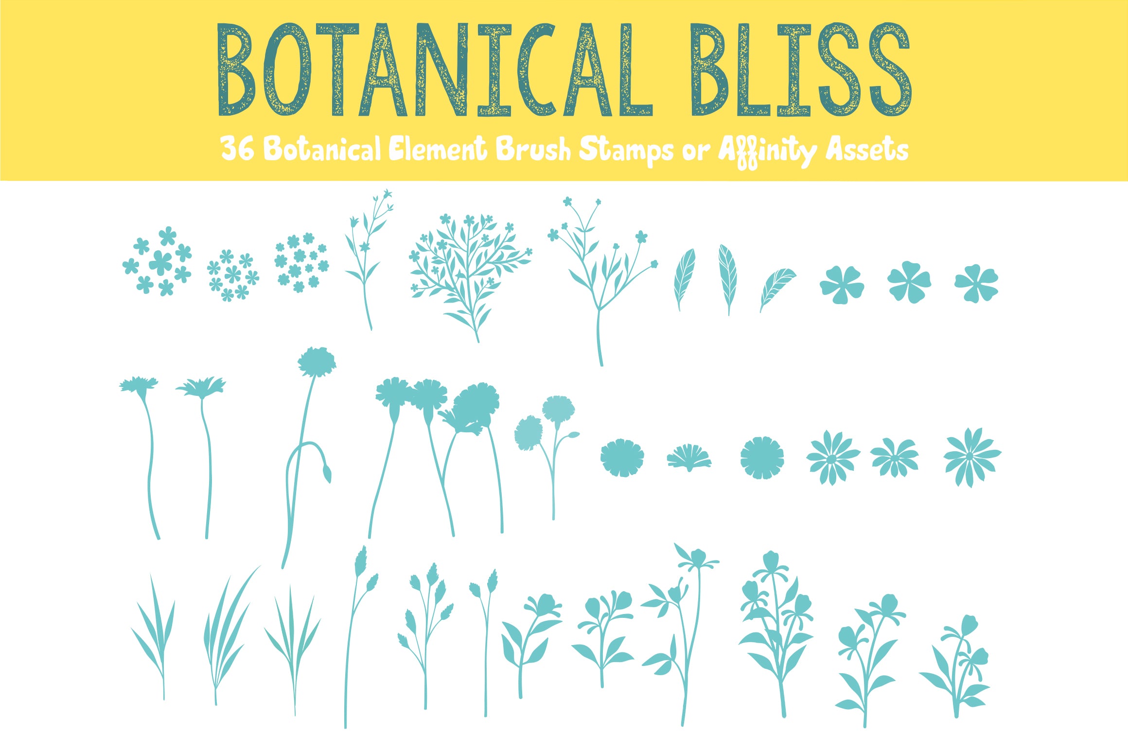 Volume 160 - Botannical Bliss Brush Pack for Procreate/Asset Pack for Affinity Designer and more