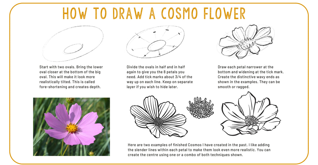 How to Draw a Cosmo Flower