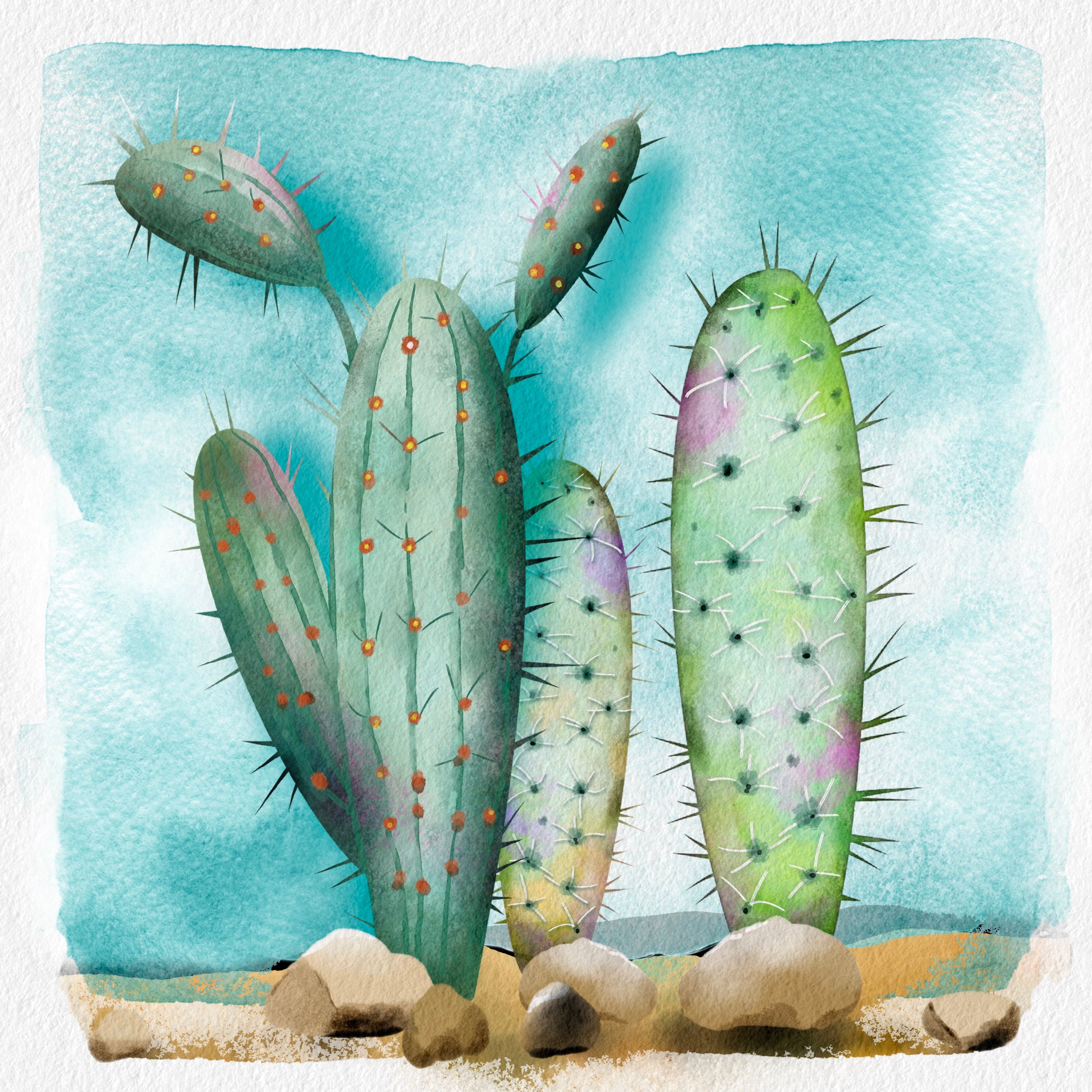 Volume 159 - Exotic Succulents Asset Pack for Procreate and Affinity Designer - deloresartcanada