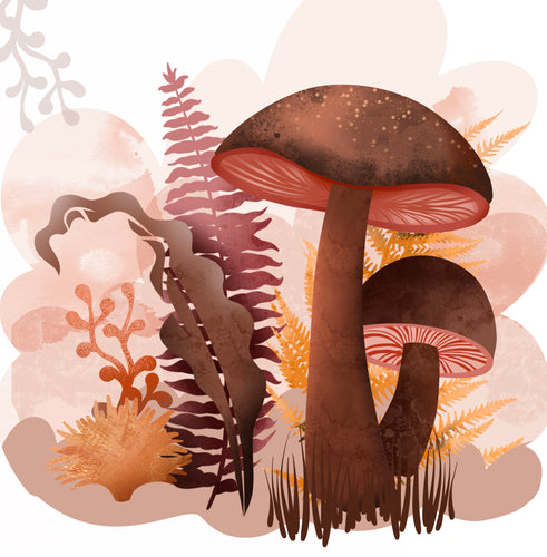 Volume 143 - Spring Mushroom Brush Set + Bonuses for Procreate