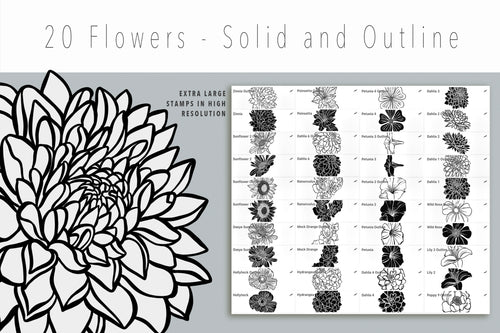 Volume 024 - Floral Procreate Stamp Brushes - deloresartcanada