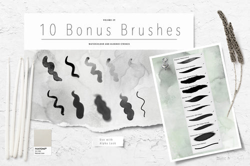 Volume 029 - Procreate Floral Brush Stamps 5 - deloresartcanada