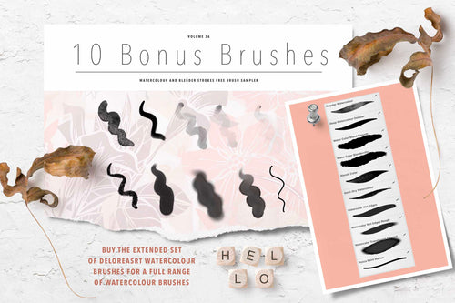 Volume 036 - Procreate Floral Brush Stamps 6 - deloresartcanada