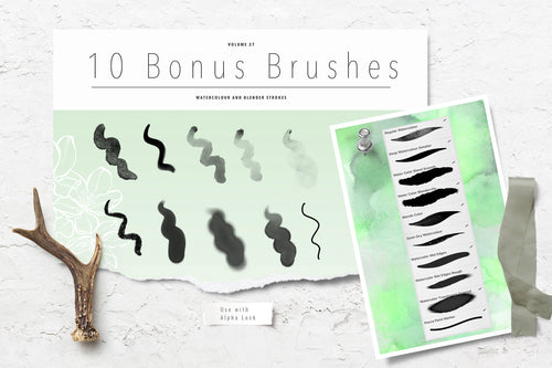 Volume 027 - Procreate Floral Brush Stamps 4 - deloresartcanada