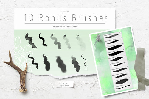 Volume 27 - Procreate Floral Brush Stamps 4