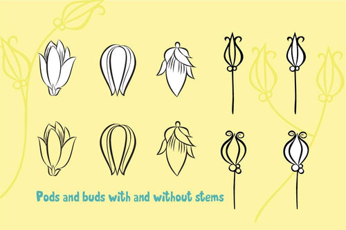 Volume 11 - Chic Line Art Floral Brush Set - deloresartcanada