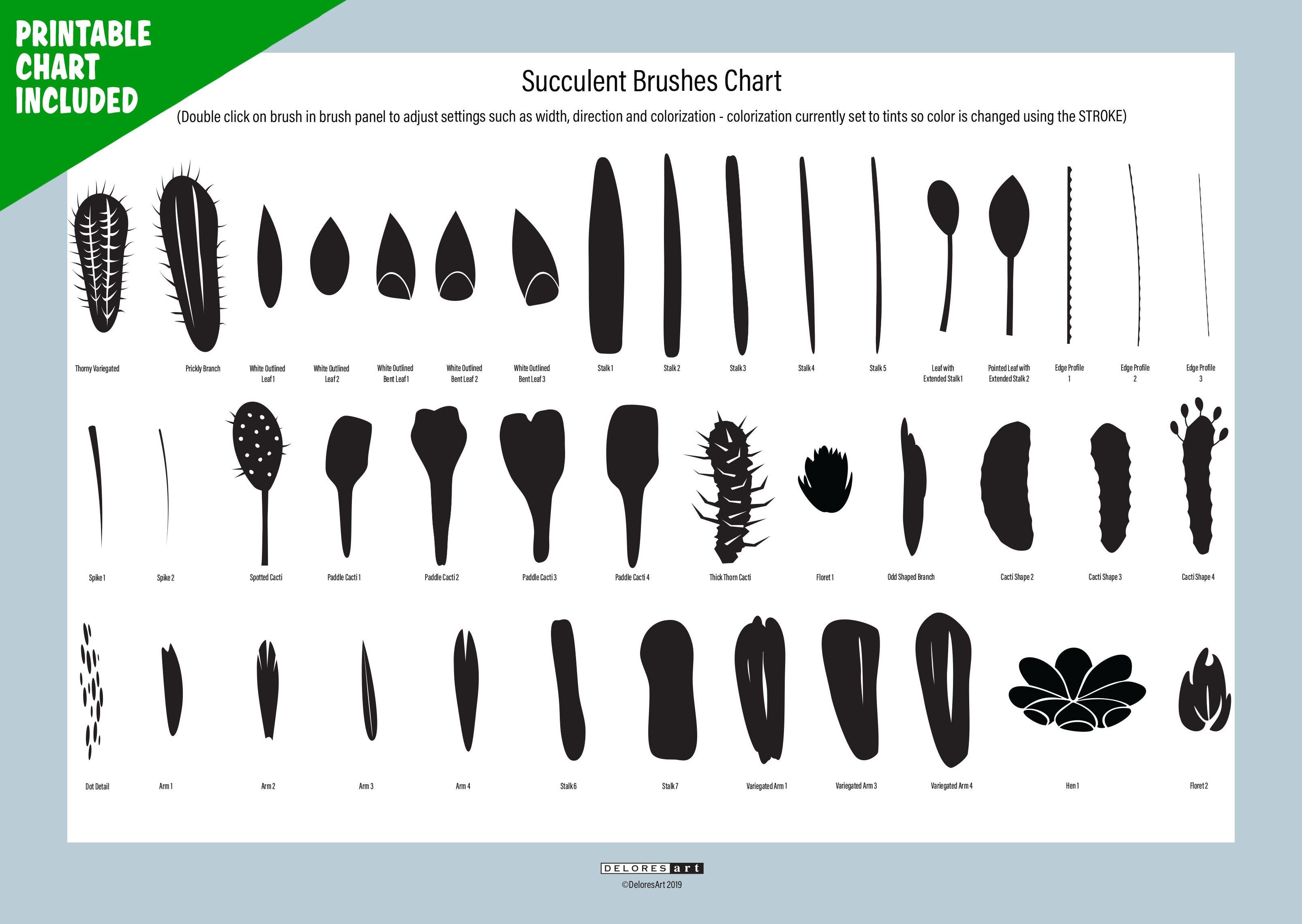 Volume 15 - Sweet Succulent Vector Brushes - deloresartcanada